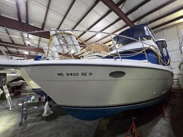 1994 Carver 390