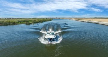 2018 Back Cove 32