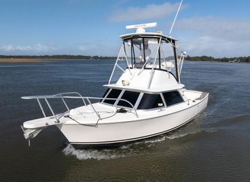1974 Bertram 31 Sportfisher