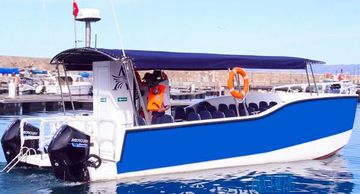 2025 Olbap TR12 Open