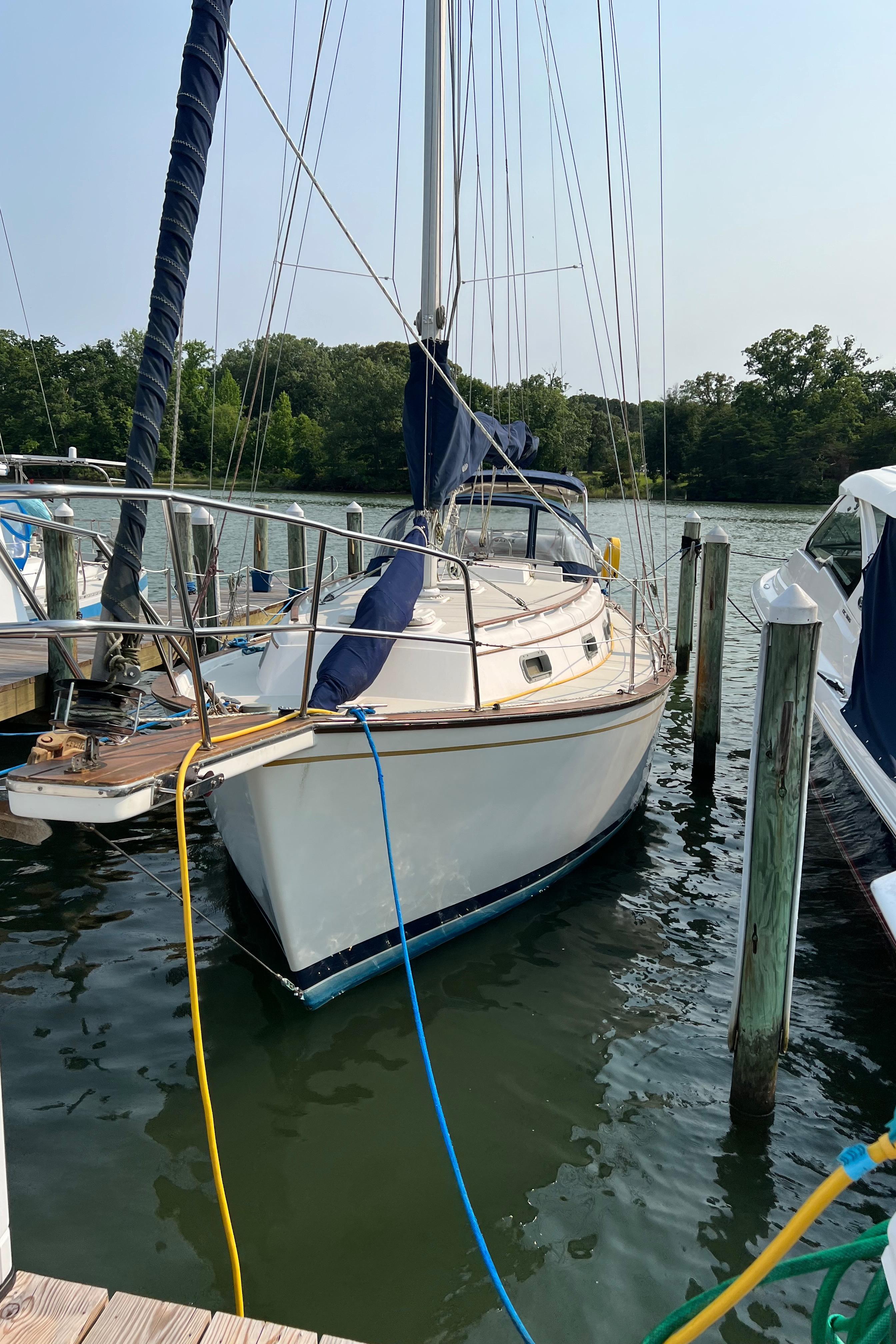 Island Packet 31 1985 Island Packet 31 sailboat docked in a marina, surrounded by calm water and trees.