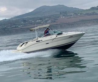 2003 Sea Ray 225 Weekender
