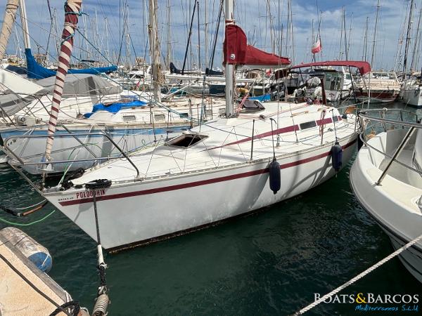 1989 Furia 302