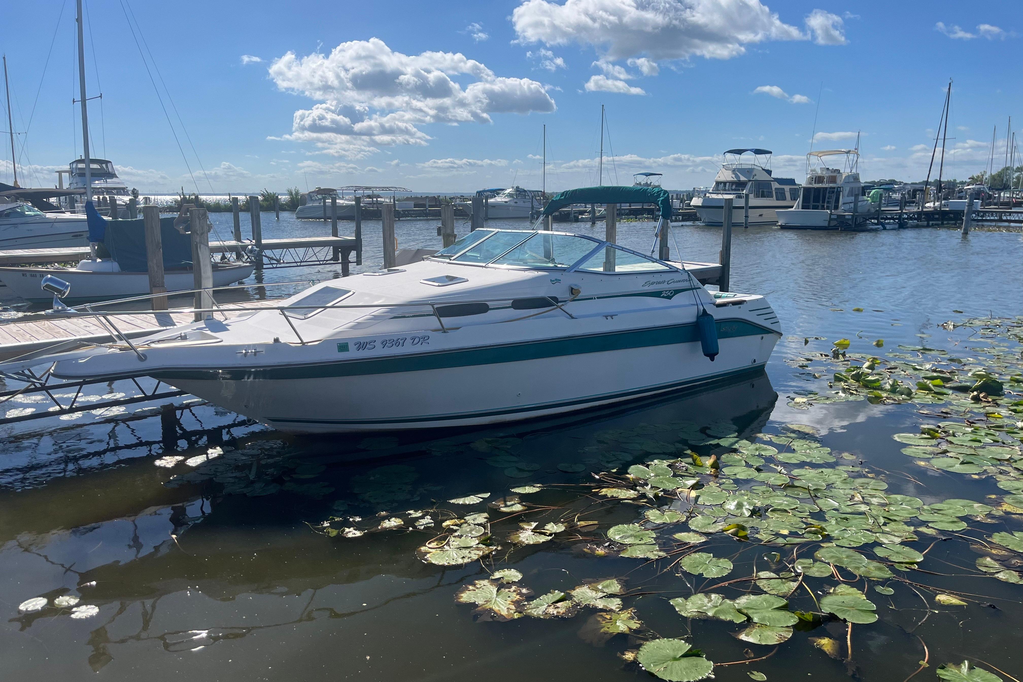 Sea Ray 250 Sundancer 1993 Sea Ray 250 Sundancer docked in a marina with lily pads.