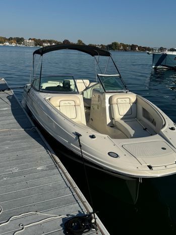 2008 Sea Ray 230 Sundeck