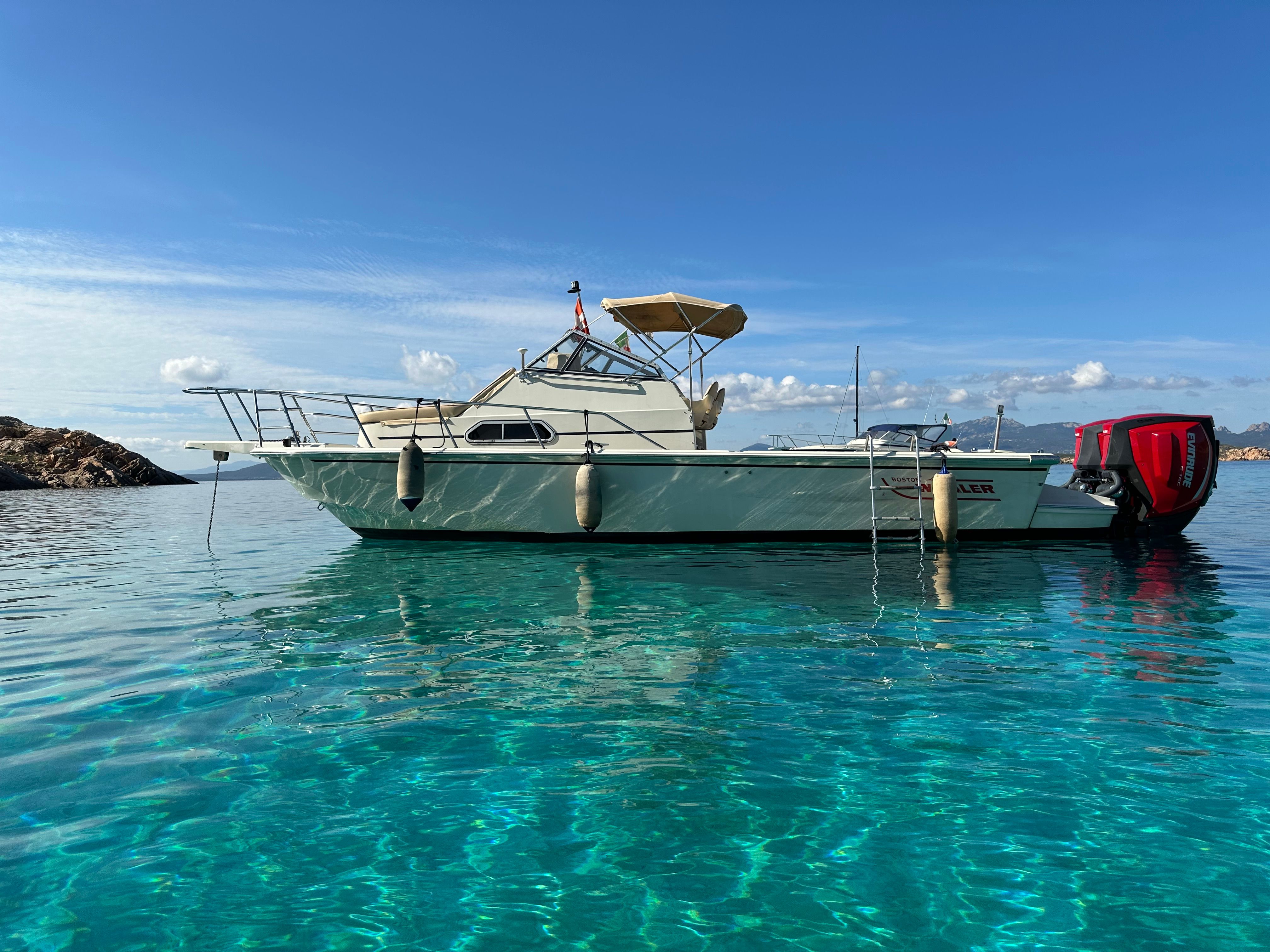 Boston Whaler Revenge 25 walk around Whaler