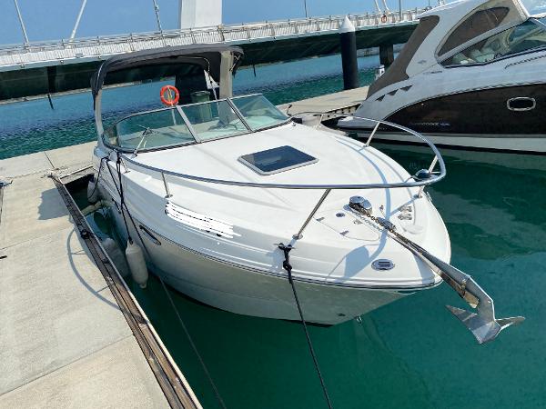 Chaparral Signature 250