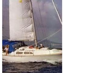 1980 C&C Landfall