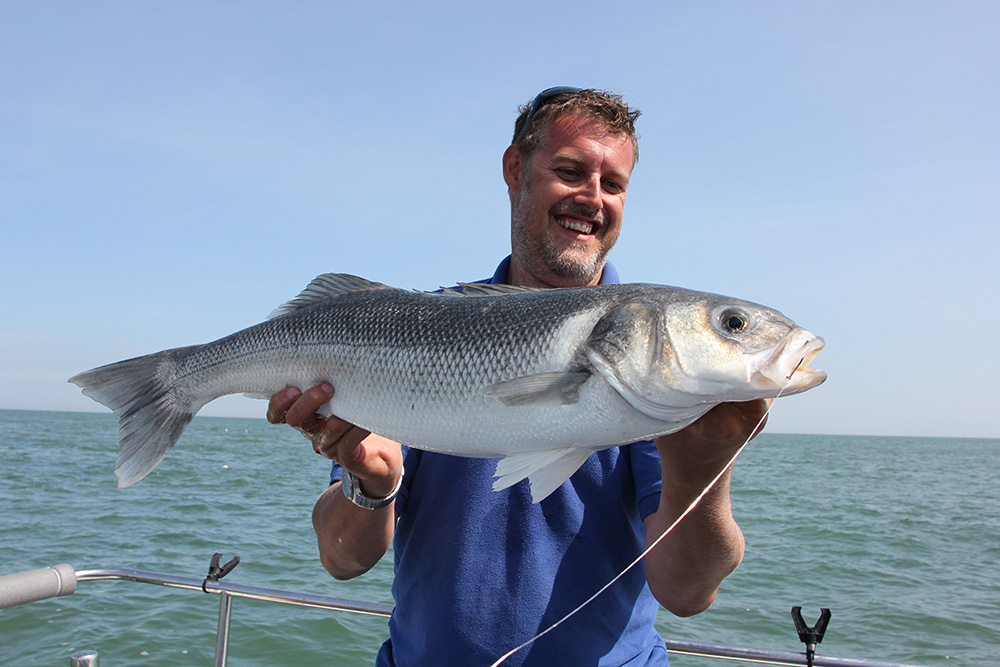 UK fish species: 10 key fish for boat anglers - boats.com