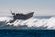 The Truth About Unsinkable Boats thumbnail