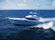 Bertram 540 Sportfish: Sneak Peek thumbnail