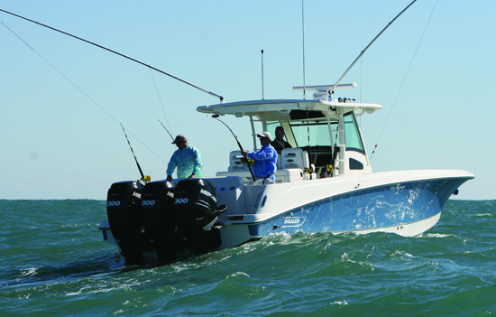 Fish, Fly, Fun on the 370 Outrage