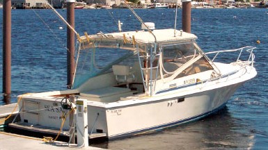 Blackfin 29 Combi: Used Boat Review
