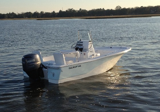 Sea Fox 180 XT Pro: Angling for Value
