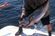 The Best Boots for Boaters: Crocs vs. Evair vs. Kamic vs. LaCrosse vs. LL Bean thumbnail