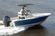Pioneer 220 Bay Sport: Inshore Fishing Frenzy thumbnail