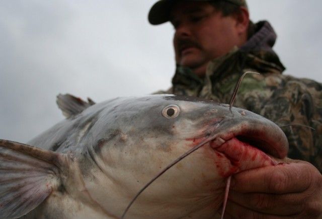 The World’s 10 Weirdest Fishing Baits