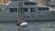 Share the Water: Unwritten Rules of Sailors, Fishermen, Powerboaters, and Paddlers thumbnail