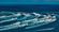 Safety Essentials for Go-Fast Boat Passengers thumbnail