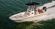 Boston Whaler 240 Dauntless: No Restrictions thumbnail