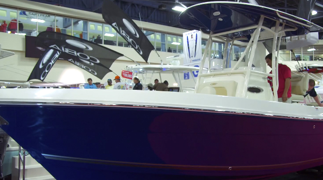 2014 Cobia 256CC: First Look Video