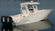 Cape Horn 32: Vicious to the Fishes thumbnail