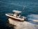 Striper 200 CC: Small Boat With Big Boat Features thumbnail