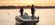 Bayliner Element XL: Add a Fishing Package, Get Hooked Up thumbnail