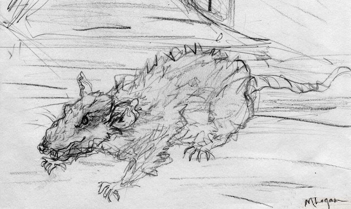 Living Aboard: Pat and the Rat
