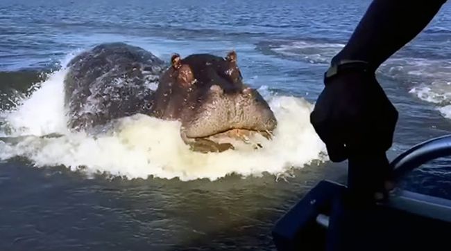 The 5 Weirdest Ways to Capsize a Boat