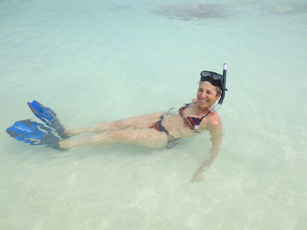 Swimming Through the British Virgin Islands