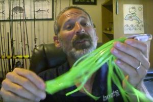 Do Scented Fishing Lures Like GULP Really Work Better? 