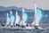 U.S. Olympic Sailing Team Chosen to Race for Medals in Rio thumbnail