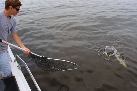 Fishing Friday: 3 Tips to Net a Fish 