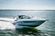 Sea Ray Sundancer 350 Coupe: Aquatic Frolic thumbnail