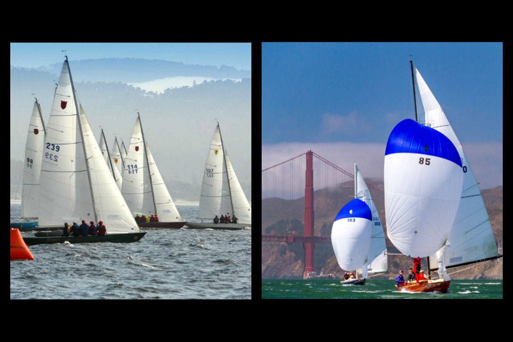 Monterey or San Francisco: Which Bay is Best?
