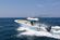 Sea Fox 328 Commander Review thumbnail