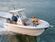 2021 Sailfish 241 CC Full Walkthrough Review thumbnail