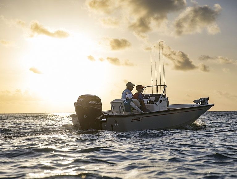 boston whaler 170 montauk