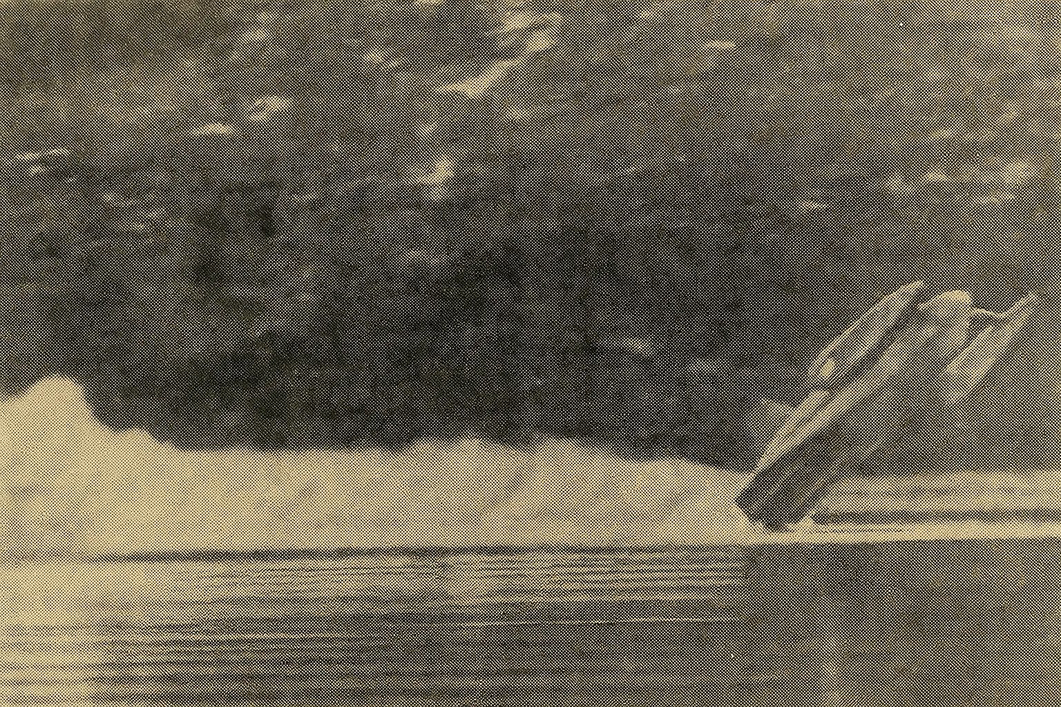 Donald Campbell Crash, Image by VÉHICULE